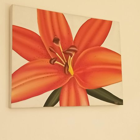 Appartement Croisette Sainte-Maxime Zewnętrze zdjęcie